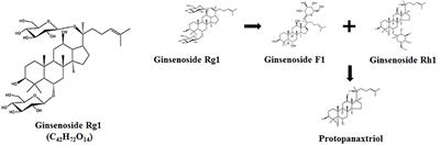 Effects of Dietary Ginsenoside Rg1 Supplementation on Growth Performance, Gut Health, and Serum Immunity in Broiler Chickens